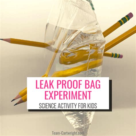 leak proof bag experiment|Leak Proof Bag